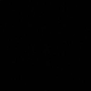 Meet your Posher, Jayde